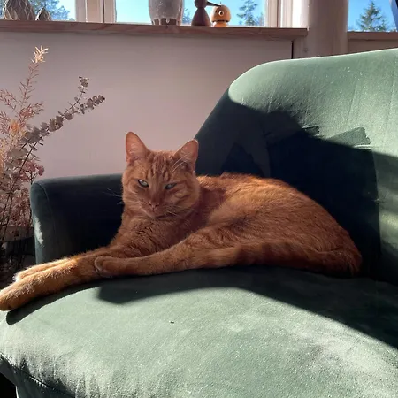 Relax In The Countryside With Pool *