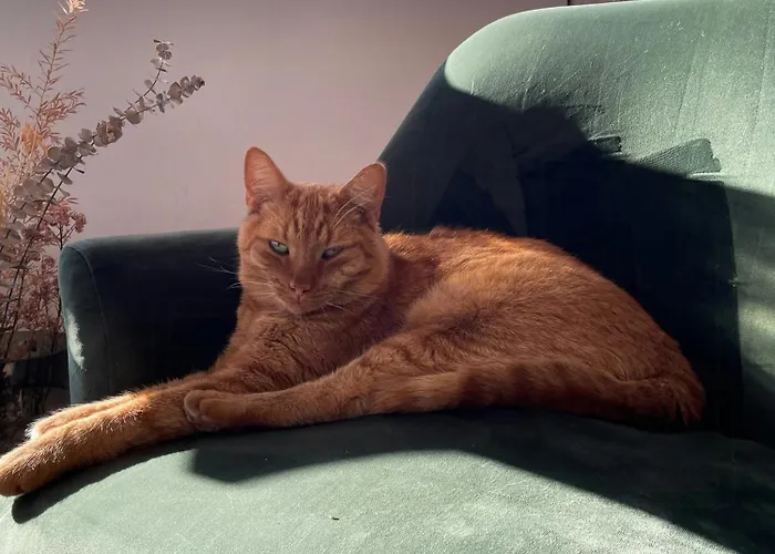 Relax In The Countryside With Pool *